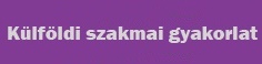 szakmai gy